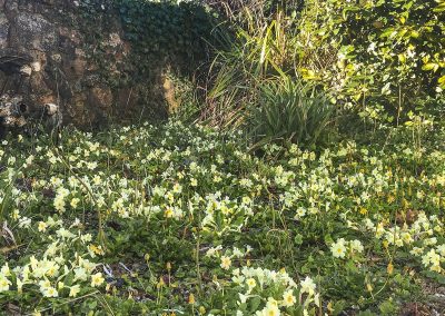 Befferlands Cottage 19-min